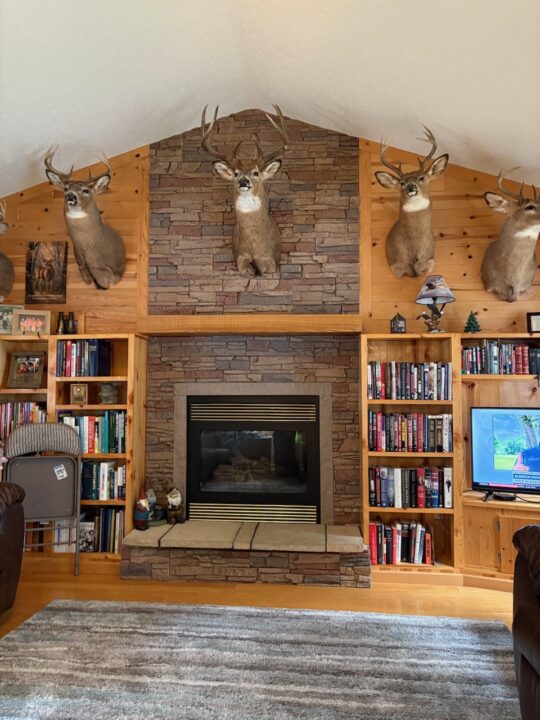 James’s Desert Sunrise Stone Fireplace Surround